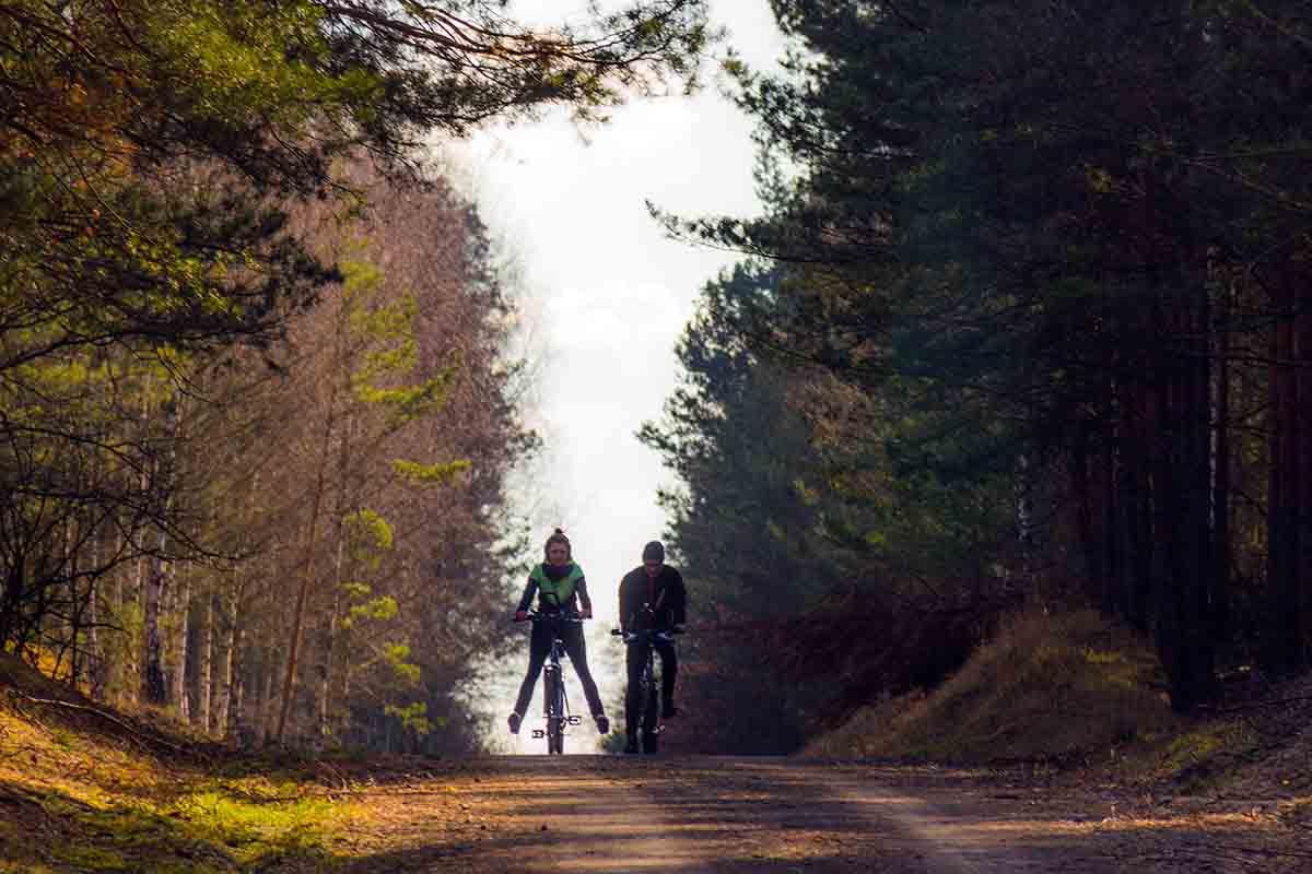 Udostępnienie dróg leśnych