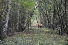 INWENTARYZACJA DZIKÓW ZAKOŃCZONA