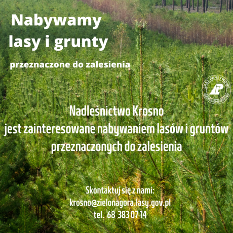 Nabywamy lasy i grunty